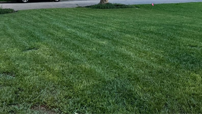 gazon tuns uniform de robot de tuns iarba